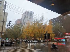 -百富源·海鲜辽菜(和平北大街店)