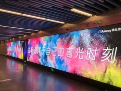 -大望路(地铁站)