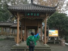 -千岛湖石林
