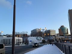 -币舞桥