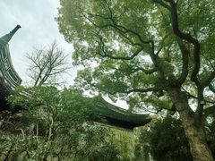 -惠山古镇·寄畅园