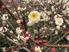 -南京市无想山景区