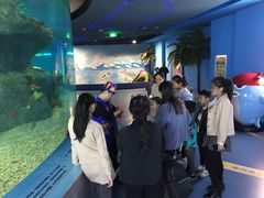 -沙沙哗啦海洋馆(华宇百花谷店)