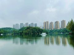 -重庆彩云湖湿地公园