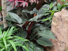 -北镇龙岗子生态园