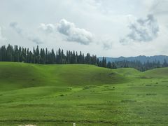 -新疆那拉提国家旅游度假区