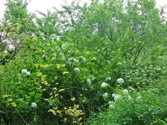 景点-穹窿山景区