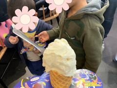 -野人先生现做冰淇淋(北京顺义祥云小镇店)