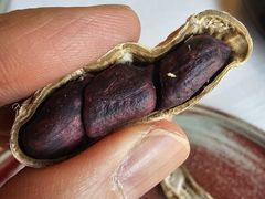 -泓0871臻选云南菜·味庄