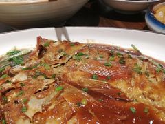 -梁溪河畔·吉府花园(南长街南下塘店)