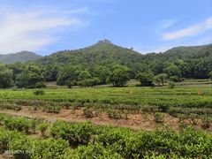 -北高峰