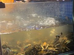 -熊记虾王·小龙虾(东晓南店)