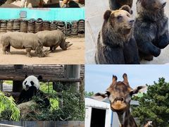 -西霞口神雕山野生动物世界