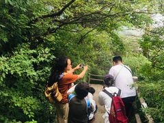 -牛背梁国家森林公园