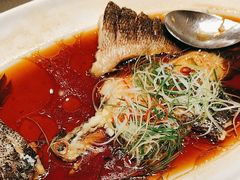 -新吉士·上海菜(浦东LCM置汇旭辉店)