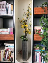 -酉嘉瑜伽YO+YOGA