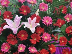 -怡花宜木鲜花店(朝阳路店)