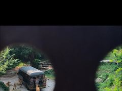 -深圳野生动物园