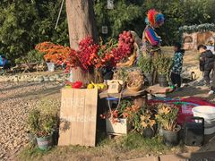 -HERRE·FARM 赫尔露营农场·团建聚会包场