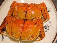 -A One Kitchen·南京精菜馆(德基广场店)