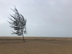 -白沙门生态公园