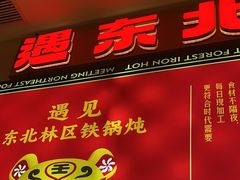-遇东北林区铁锅炖(南开店)