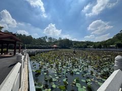 -南国桃园旅游度假区