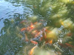 -珠海圆明新园