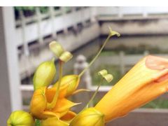 android_upload_pic-河南省黄河迎宾馆