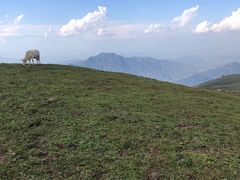 -灵山