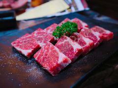 -熊出没日本烧肉放题