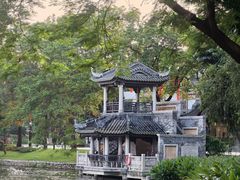 -荔湾湖公园