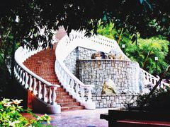 -香港大学