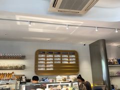 -WHEN PIGS FLY当猪飞