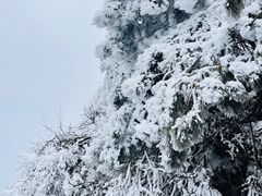 -武当山风景区