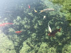 景点-九龙池景区