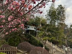 -三国赤壁古战场