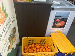 -真情鲍鱼海鲜汤