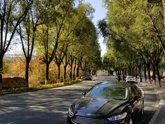 -吉林大学(前卫南区)