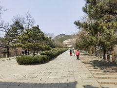 -府君山公园