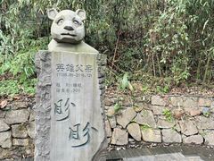 -都江堰中华大熊猫苑