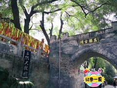 -大槐树寻根祭祖园