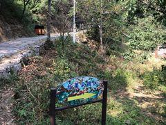 -大岭沟猕猴桃谷风景区