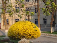 -辽宁大学(崇山校区)