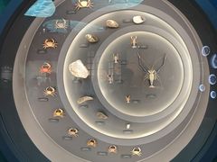 -中国湿地博物馆