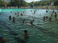 -牡丹游泳馆(金山馆)