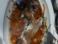-佳兰雅序融合菜(高新店)
