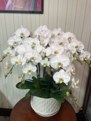 -南京医科大学友谊整形外科医院