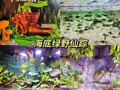 -郑州海洋馆