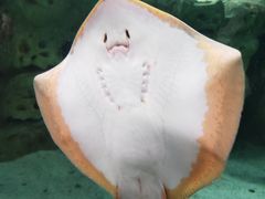 -珠海长隆海洋王国